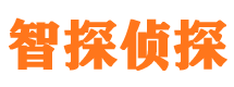 武强侦探公司